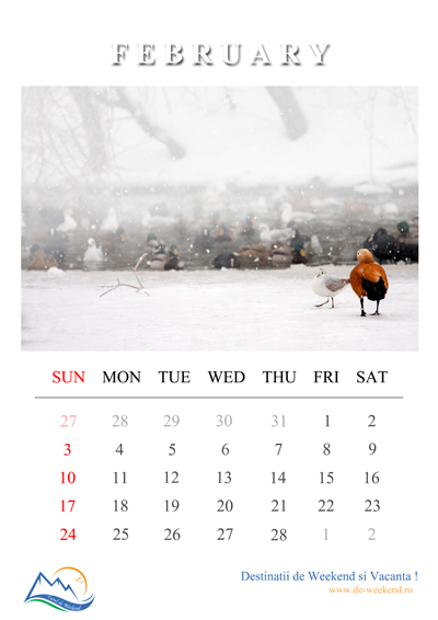 calendar 2013 februarie